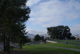 Park-Goer Acquitted of Indecent Exposure