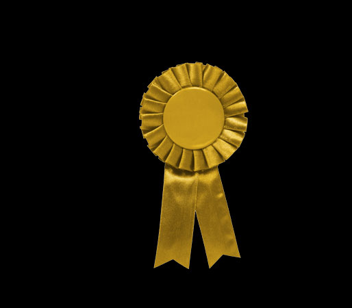 SF Public Defenders Receive National Service Award