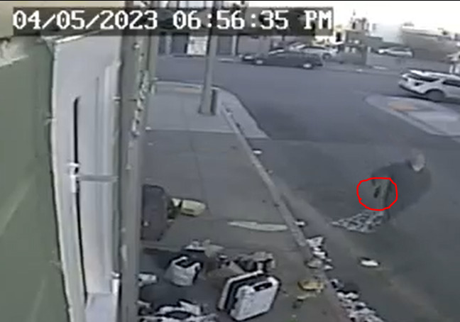 San Francisco Public Defender’s Office Urges District Attorney to Drop Charges Against Unhoused Man Who Acted in Self-Defense When Bear Sprayed